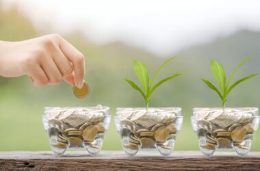 investment calculator.