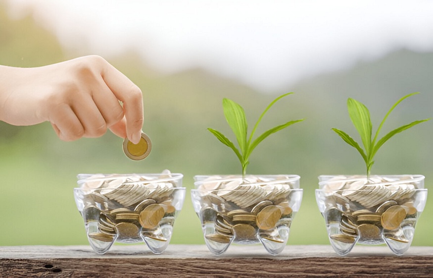 investment calculator.