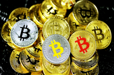 Bitcoin in the World Today